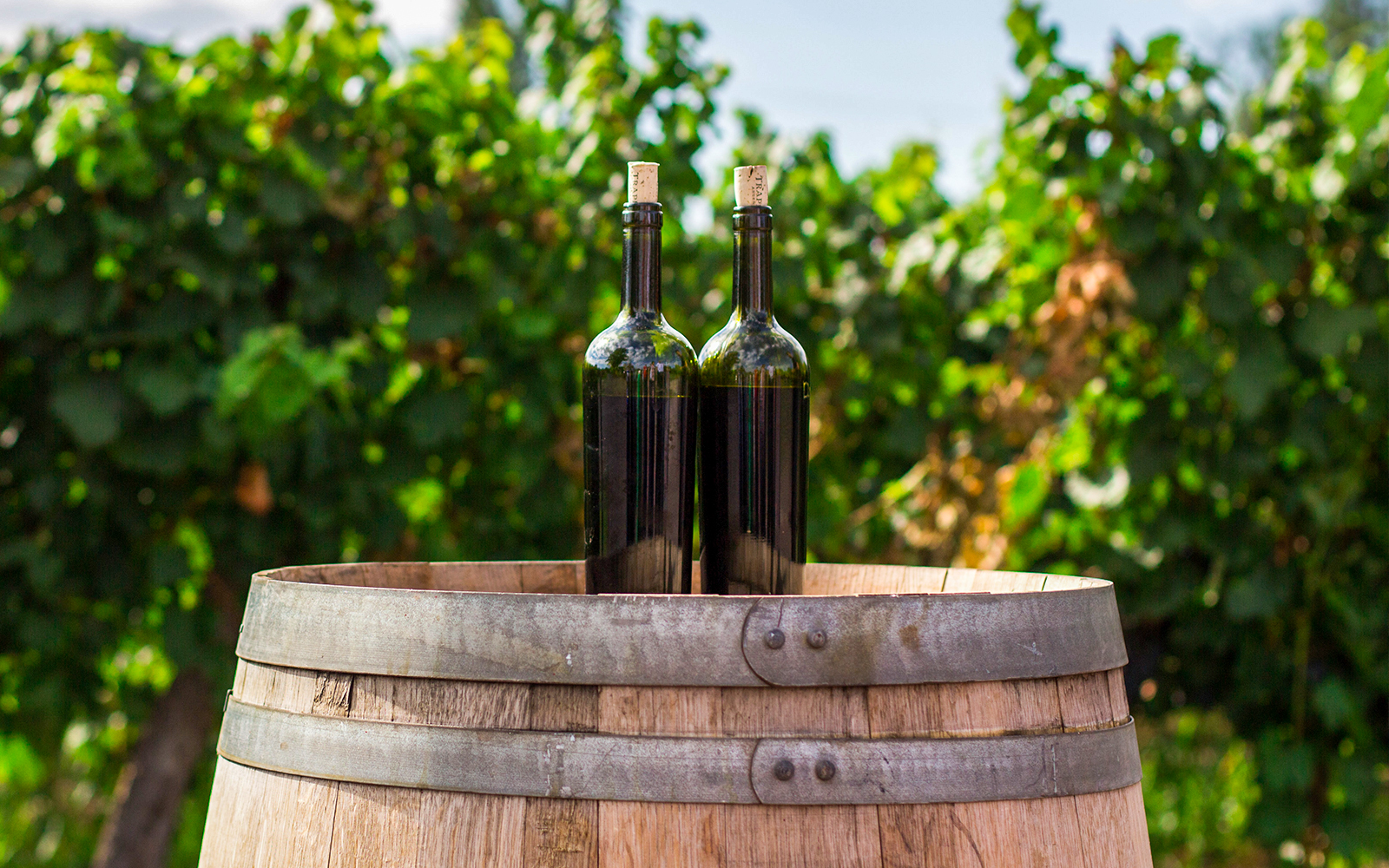 Explore Loire Valley Wineries Regions, History, Facts & More